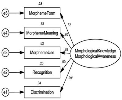 Examining the dimensionality of morphological knowledge and morphological awareness and their effects on second language vocabulary knowledge